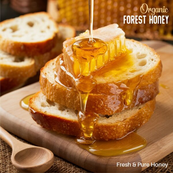 Wild Forest Honey - Image 3