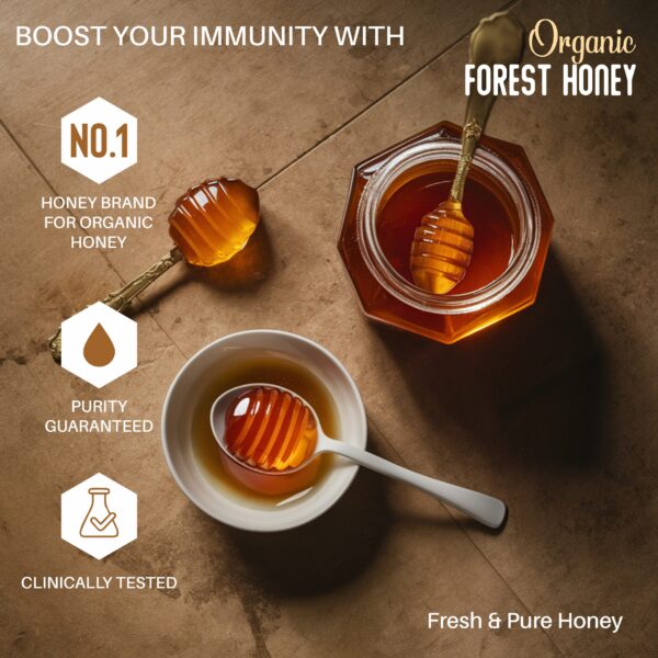 Wild Forest Honey - Image 2